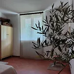 Ferienhaus Libeccio Mattinata