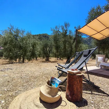 Libeccio Holiday home *