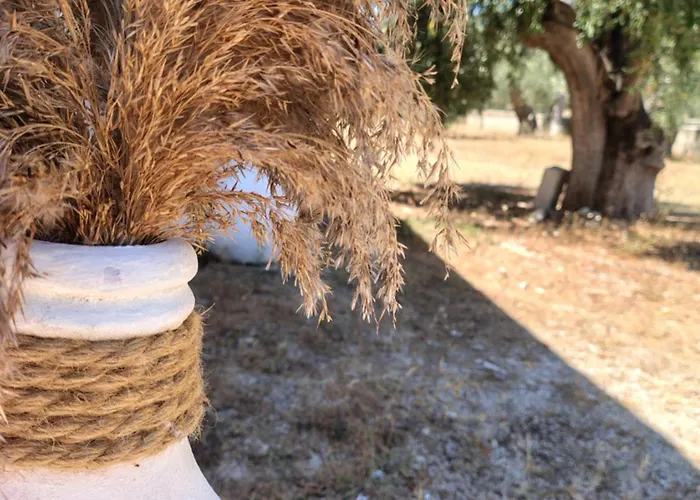 Libeccio * Mattinata